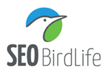 logo-seo_image